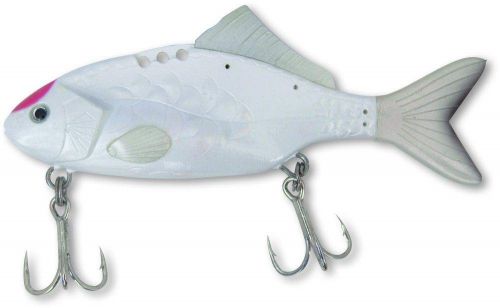 60g 12cm Baby Carp japanese koi 1pcs